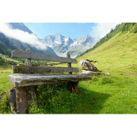 Millwood Pines Bench In Austrian Alps