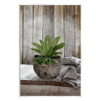 Stupell Industries Cozy Rustic Potted Plant Wall Plaque Art by Kim Allen