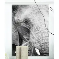 World Menagerie Close Up of an Elephant Eating - Wrapped Canvas Photograph Print