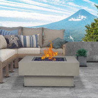 Wrought Studio Caparro 14.5" H x 32.5" W Steel Propane Outdoor Fire Pit Table with Lid