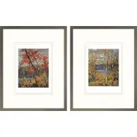 Red Barrel Studio 'Twisted Maple, Algonquin' by Thomson Tom - 2 Piece Picture Frame Print Set on Paper