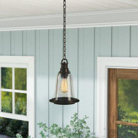 Williston Forge Marilou 1-Light Outdoor Hanging Lantern