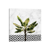 East Urban Home Banana Plant On White Marble And Checker