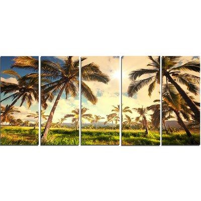 Design Art 'Beautiful Palm Plantation in Hawaii' 5 Piece Photographic Print on Wrapped Canvas Set in Plants, Fertilizer & Soil