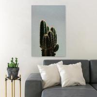 Foundry Select Green Cactus Plant During Daytime 3 - 1 Piece Rectangle Graphic Art Print On Wrapped Canvas