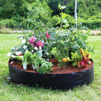 Smart Pot 4 ft x 4 ft Raised Garden Bed