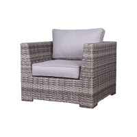 Birch Lane™ Cassia Fully Assembled Patio Chair with Cushions