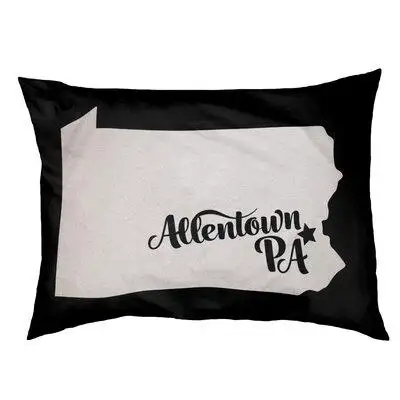East Urban Home Allentown Pennsylvania Designer Pillow