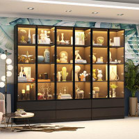 Morinome 78.7 H x 63 W 6 Drawers Display Case With Light