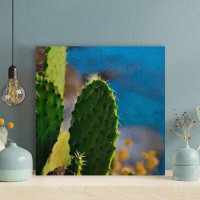 Foundry Select Cactus Plant On Close-Up Photograph - 1 Piece Square Graphic Art Print On Wrapped Canvas