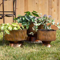 Bungalow Rose Samonas 3 - Piece Metal Pot Planter Set