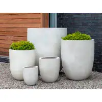 Birch Lane™ Renegade Erhard Fibreglass Pot Planter