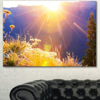 Made in Canada - Design Art 'Rural Meadow Flowers at Sunset' Photographic Print on Wrapped Canvas