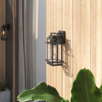 Mercury Row Foskey  1-  Bulb Seeded Glass Outdoor Wall Lantern