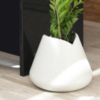 Ebern Designs Dobroslava ECOBO Eco-Friendly Novelty Pot Planter, Tulip Indoor/Outdoor Four Season UseOff White
