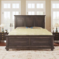 Alcott Hill Bruyn Solid Wood Panel Storage Bed