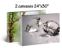 Photo Canvases Two Pack 24"x30"  - Best Price in Canada