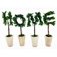 Ophelia & Co. Nabors Real Preserved Boxwood Monogram Letter M Tree in Planter