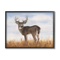 Stupell Industries Deer in Country Grass Framed Giclee Art by Michael Willett