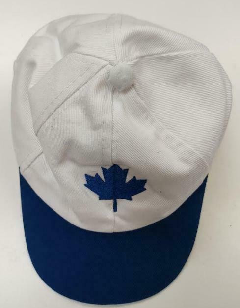 Caps & Visors Wholesale - Only $1.95 Each in Other Business & Industrial in Ontario - Image 2