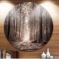 Design Art 'Forest Trail in Sepia' Photographic Print on Metal