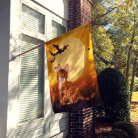 Caroline's Treasures Halloween Sokoke Cat 2-Sided Polyester 40 x 28 in. House Flag