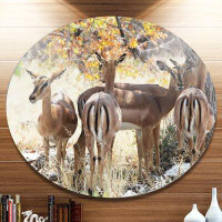 Design Art 'Beautiful Herd of Antelope Gnu' Photographic Print on Metal