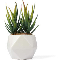 Primrue Primrue - Artificial Agave Succulent - 1-Pack - Aloe