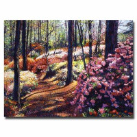 Trademark Fine Art 'Azalea Forest' by David Lloyd Glover Framed Painting Print on Wrapped Canvas