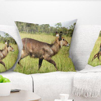 East Urban Home African Waterbuck Antelope in Grass Pillow