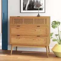Sand & Stable™ Keanu 3 Drawer 36" W Chest