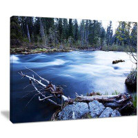 Made in Canada - Design Art 'Blue River in Forest at Evening' Photographic Print on Wrapped Canvas