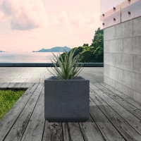 17 Stories Rabjohn Concrete Planter Box