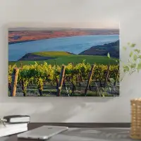 East Urban Home 'Columbia River with the Benches Vineyard in the Foreground, Horse Heaven Hills AVA, Washington, USA' Ph