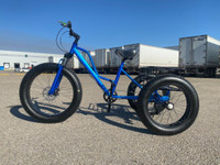 NEW 24 IN FAT TIRE TRICYCLE BIKE 5295361