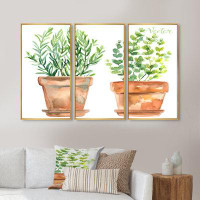 Design Art Two Green House Plants In Orange Flower Pots - Traditional Framed Canvas Wall Art Set Of 3