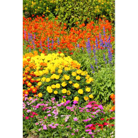 Ebern Designs Flower Garden by - Wrapped Canvas Photograph