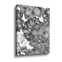 Dakota Fields Charcoal Grey Monochrome Watercolor Succulent Plants Wall Garden VII Gallery Wrapped