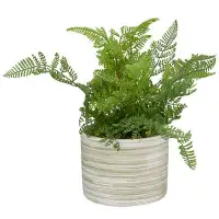 Novogratz Cole And Grey Faux Foliage Fern Artificial Plant With Patterned Round Pot