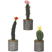 Williston Forge 3 Piece Assorted Cactus Floor Plant in Planter
