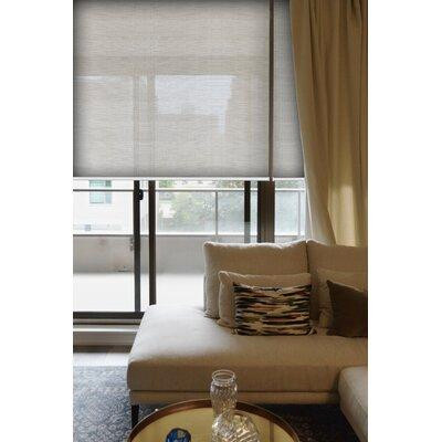 Symple Stuff Transparent Chainless Roller Shade in Outdoor Décor
