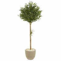 Fleur De Lis Living 49" Artificial Olive Tree in Planter