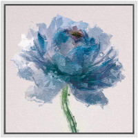 wall26 Cracked Textured Effect Paint Blue Ranunculus Floral Plants Modern Art Chic Closeup