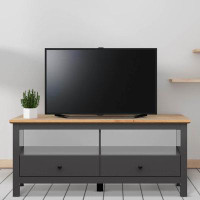 Latitude Run® Acadia TV Stand with Storage