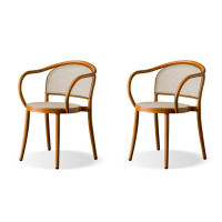 Bayou Breeze 30.71"Dark orange Solid back Arm Chair(Set of 2)