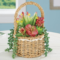 Primrue Colorful Succulent Basket