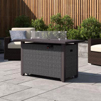 Wade Logan Bitania Stainless Steel Propane Outdoor Fire Pit Table
