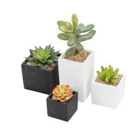 Latitude Run® Set Of 4 Succulent Planters