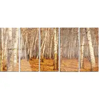 Design Art 'Dense Birch Forest in the Fall' Photograph Multi-Piece Image on Metal