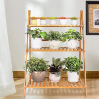 Arlmont & Co. Clymer Plant Stand